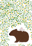 Suki McMaster Cards