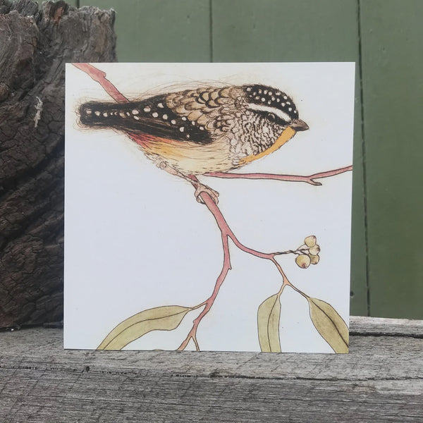 Greeting Card Red Spotted Pardalote