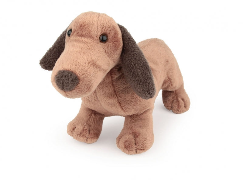 Egmont Edward sausage dog