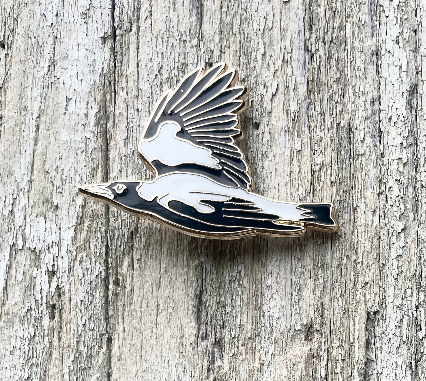 Australia Magpie in Flight enamel pin