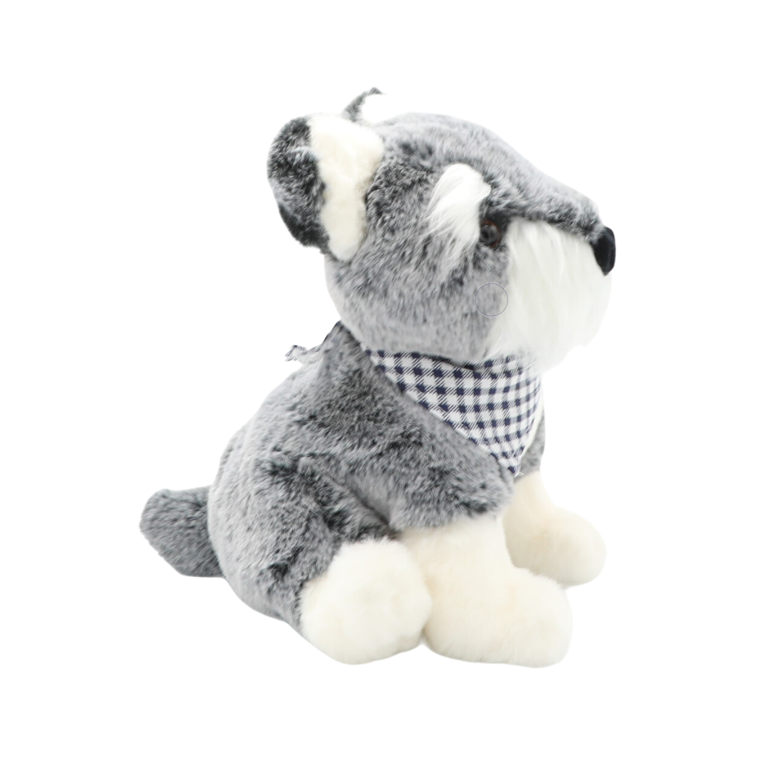 Rocky the Schnauzer