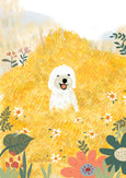 Suki McMaster Cards