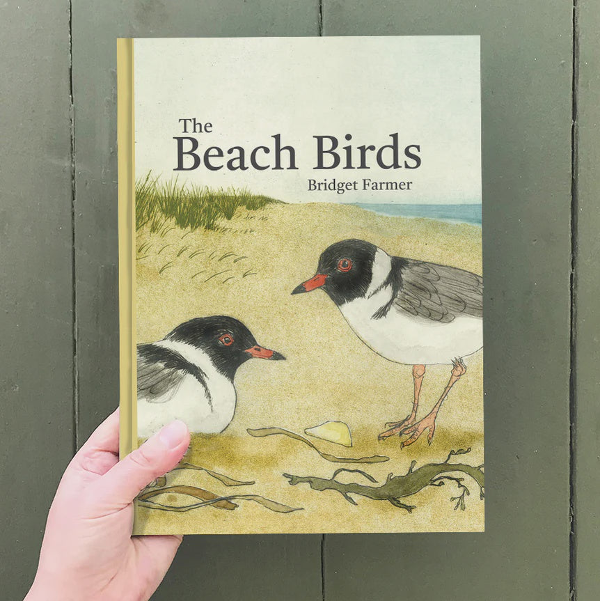 The Beach Birds-Book