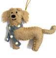 Labradoodle gold