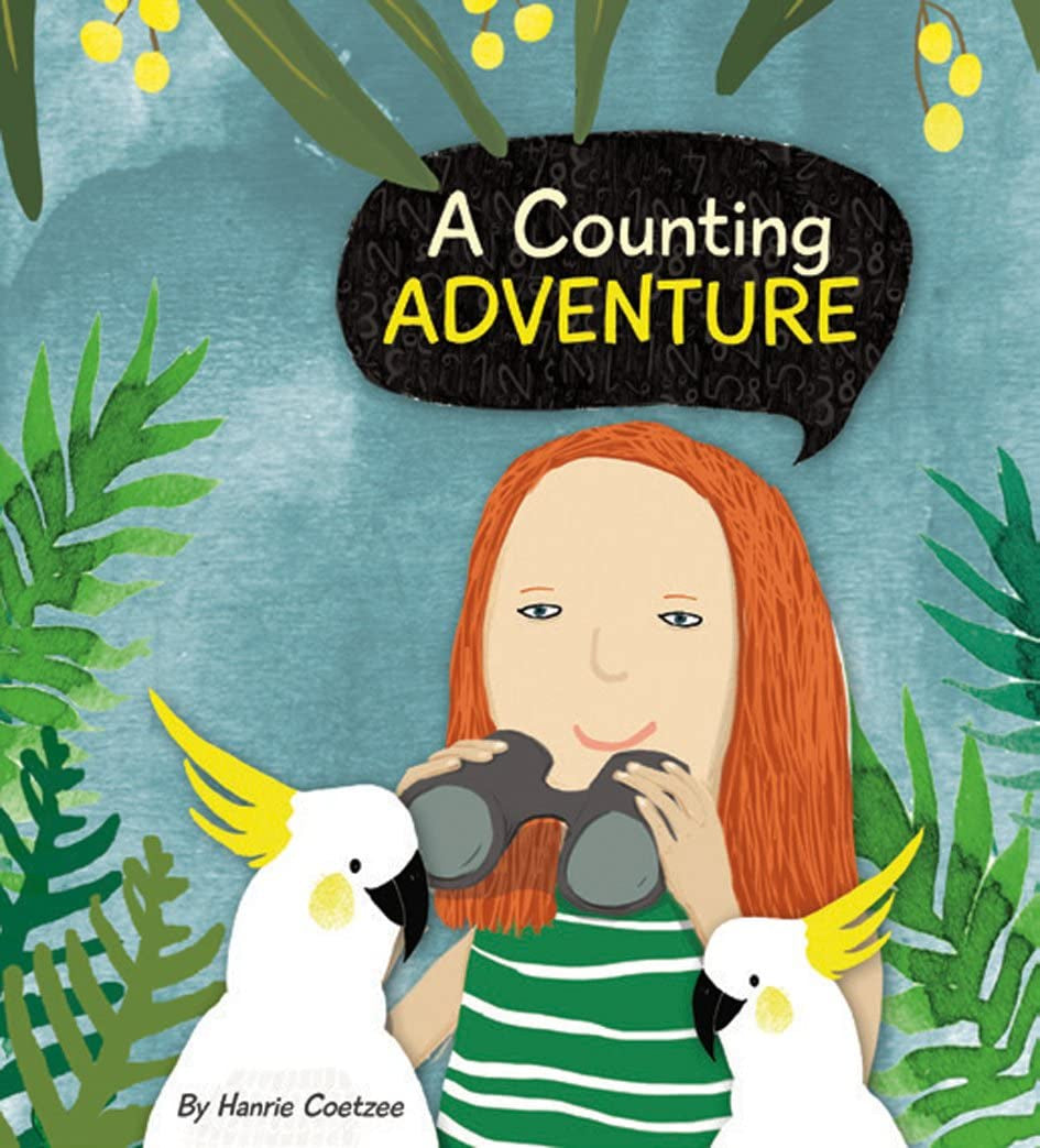 A Counting Adventure hardback book