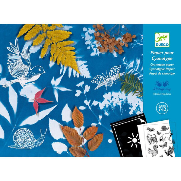 Cyanotype starter kit