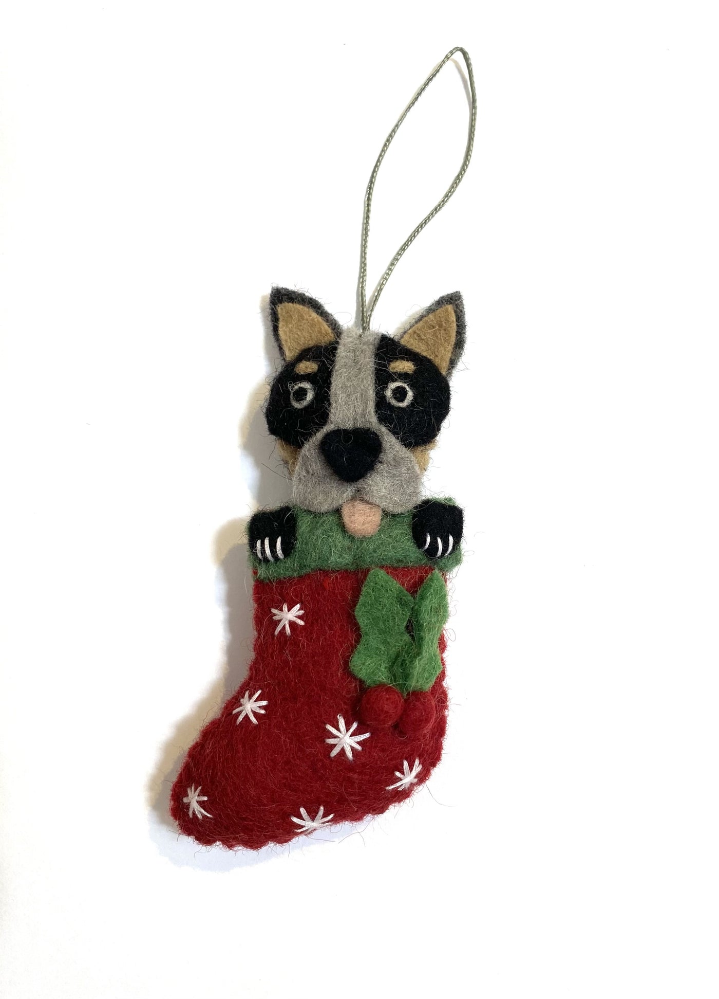 Cattle Dog in Stocking
