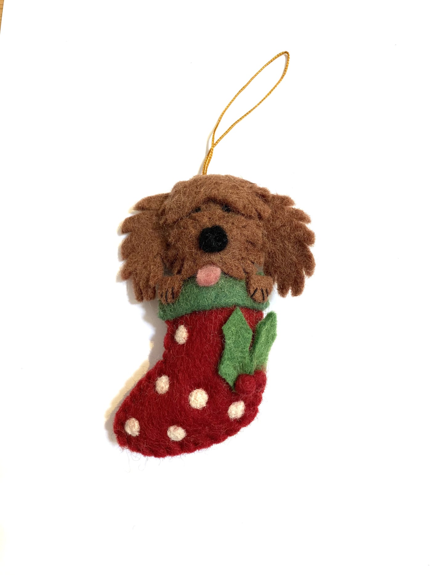 Cavoodle in stocking