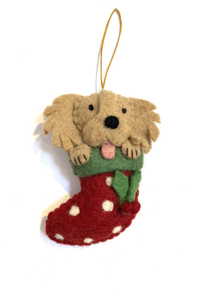 Golden Retriever in stocking