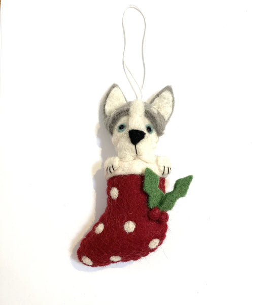 Husky in Stocking