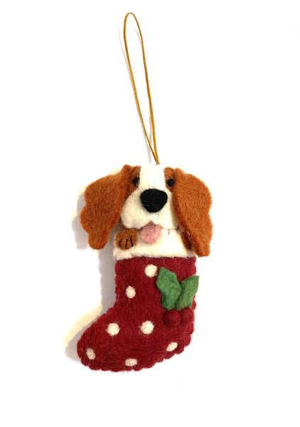 King Charles in Stocking